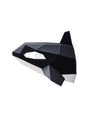 Orca
