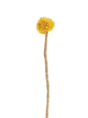 AMARILLO
