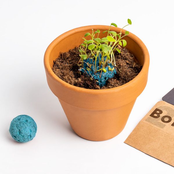 PACK BOMBAS BIODIVERSIDAD AZUL - Imagen 3