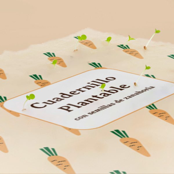 CUADERNILLO PLANTABLE SEMILLAS DE ZANAHORIA - Imagen 3