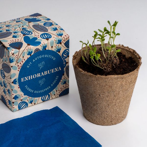 KIT DISELO CON FLORES ENHORABUENA - Imagen 4