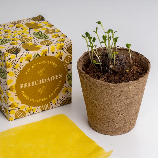 KIT DISELO CON FLORES FELICIDADES - Imagen 4