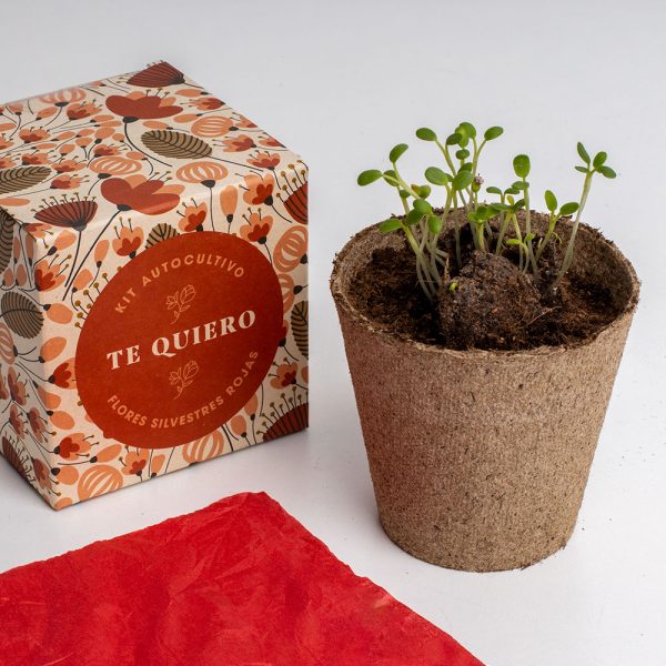 KIT DISELO CON FLORES TE QUIERO - Imagen 4
