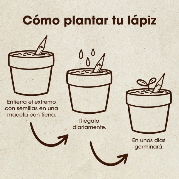 LAPIZ PLANTABLE SEMILLAS DE TOMATE - Imagen 5