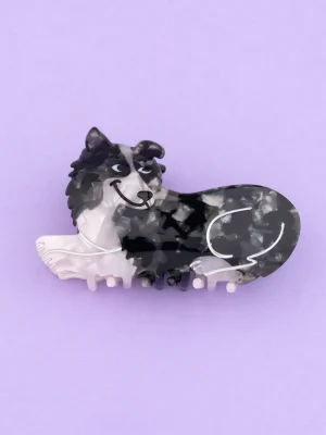 boder collie