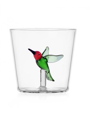 colibrí